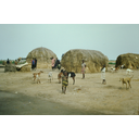 7_Vas ob reki Niger.JPG<>Vas ob reki Niger